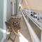 Roomy and comfortable apartment near Acropolis by GHH