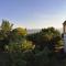 Villa DellAnnunziata