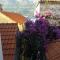 Apartments Milion