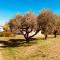 Agriturismo Le Terre d'Abruzzo Country House - Alanno