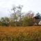 Belfield Wines and Farm Cottages