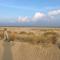 Zijperweg Vakantiehuis vlakbij zee, strand en bos