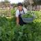 De Zeekoe Guest Farm - أوتشورن