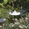 Le Clos Fleuri photo 14