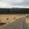 Double G Ranch & Guestlodge - Montrose