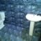 Ceylon Antheia Beach Resort