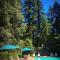 Redwoods River Resort & Campground - Leggett Redwoods River Resort & Campground - Leggett