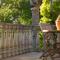 Aziza Guest House