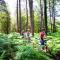 Forest View at Oakdene Forest Park - Leisure Passes Included!
