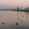 Beaconlea