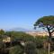 Casa Bice Amazing view of Vesuvius