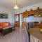 Apartment Nevelina