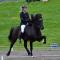 Flugumýri 2