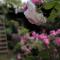 La Vigna B&B