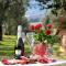 LAia Country Holidays