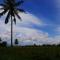 Sunset Homestay by Harry & Mimin