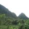 Tams Homestay