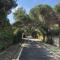 Pine-Tree Apt w/ Private Garden 50 m from the Sea - Golem