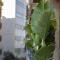 Hostal Sol y K