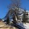 Chalet CARVE - Apartments EIGER, MOENCH and JUNGFRAU