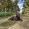 Glamping Finca Corazón