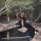 Sekala Private Game Lodge