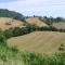 Monte Bibele