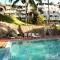 Soma Palmshore