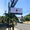 Tall Tree Kata Phuket