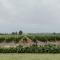 Cana Vineyard Guesthouse