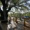 Live Oak B&B