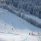 Chalet Jonquille