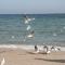 Landhotel Ostseetraum & Fewo