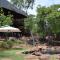 Sekala Private Game Lodge