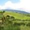 Volcano Panoramic Views