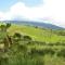 Casa Volcano Panoramic View - Vara Blanca