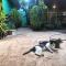 Alass Ga For Pets Lovers