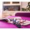 Apartment Liatris - Split