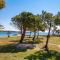 Apartments in pinewood near the sea