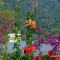 Mount View Holiday Resort