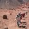 Sheikh Mousa Bedouin Camp - Saint Catherine