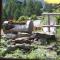 Chalet Hinter Dem Rot Stei