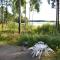 Foto: Tuomarniemi Cottages 52/60