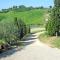 Certine Agriturismo