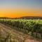Podere Casanova & Wine Experience - Montepulciano