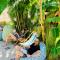 Ten North Tamarindo Beach Hotel