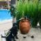 Ten North Tamarindo Beach Hotel
