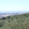 Le Ginestre B & B - ماساروسا