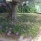 Istrian Stone House