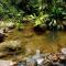 La Luciole Ecolodge - Paraty